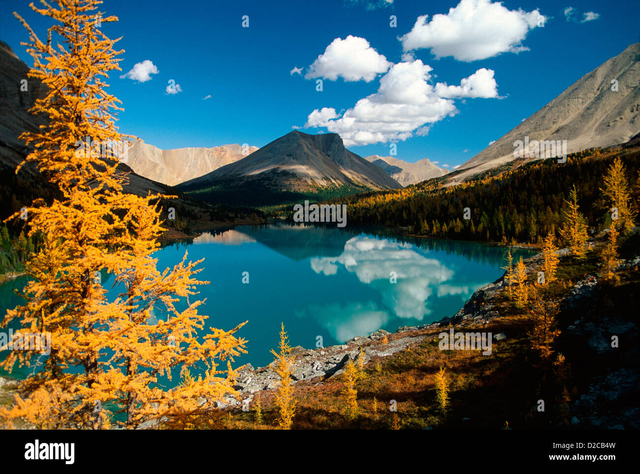 Canada, Alberta, Myosotis Lago & Skoki lago e montagna, Lago Louise Foto Stock