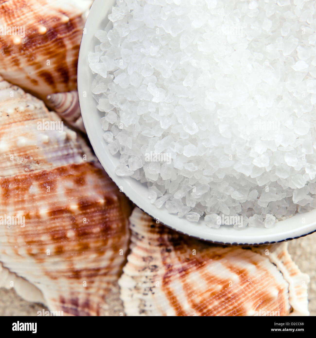 Sale marino e cockleshells sulla sabbia di mare Foto Stock