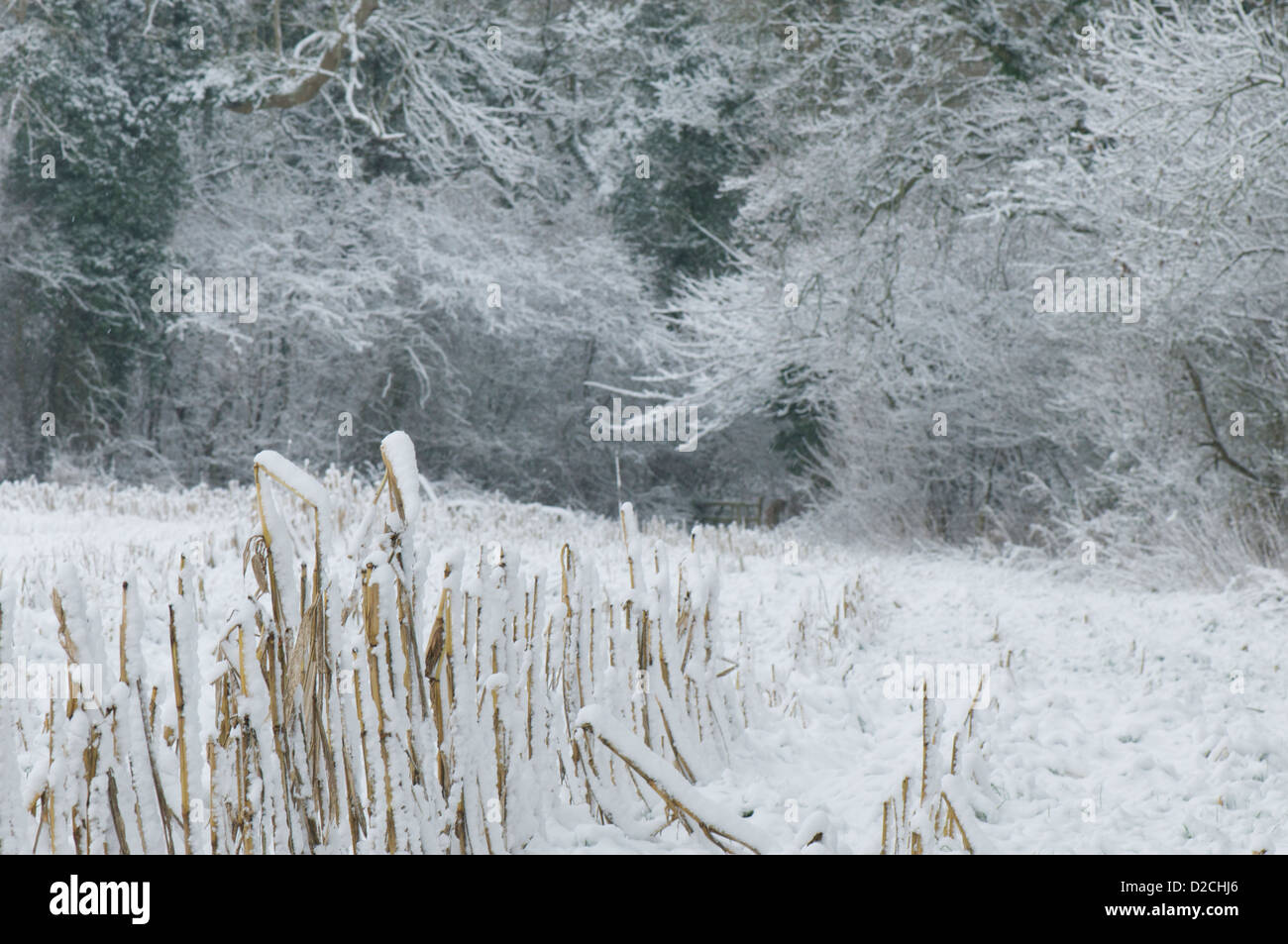 Gloucestershire paesaggio invernale dopo la neve di Gennaio 2013 Foto Stock