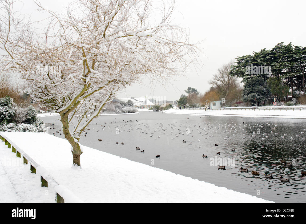 Snowy scena mostrando le anatre e il lago ghiacciato in parte oltre al Parco Mewsbrook, Littlehampton West Sussex, in Inghilterra. Foto Stock