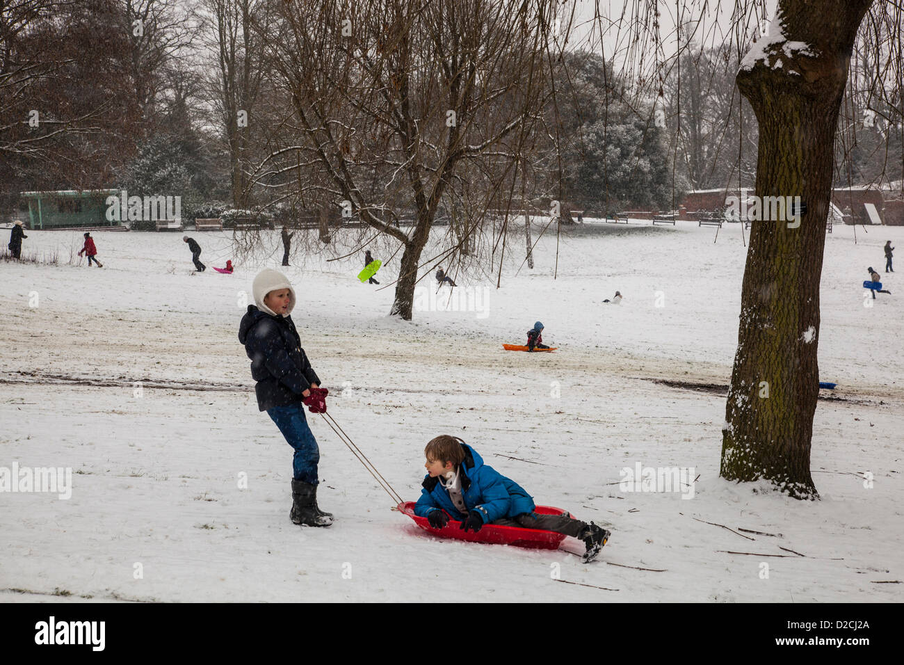 Il 20 gennaio 2013, Londra, Regno Unito. Waterlow Park a Londra del nord diventa un paradiso per gli sport invernali, come la neve continua a cadere attraverso il Sud Est Foto Stock