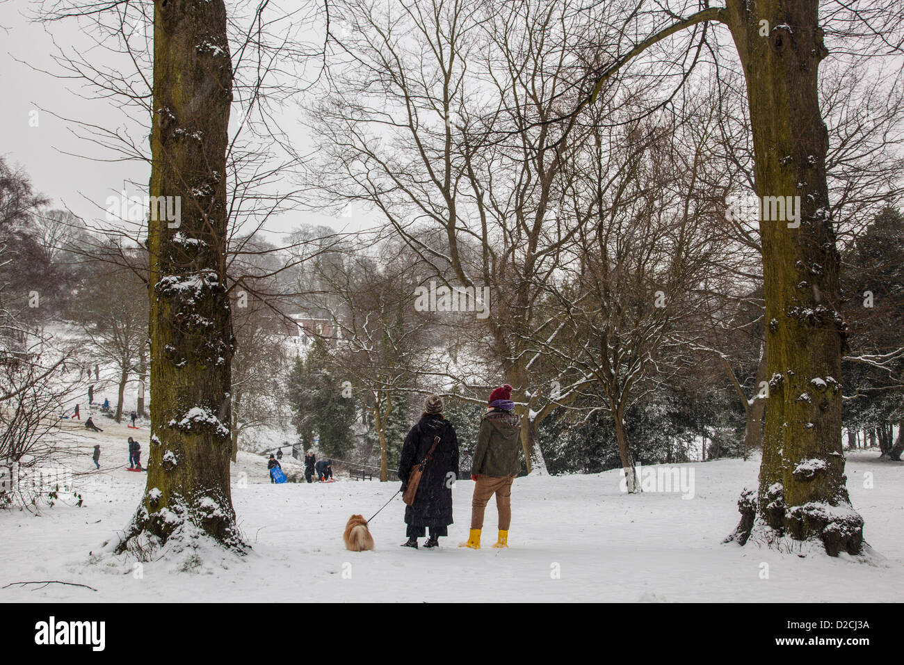 Il 20 gennaio 2013, Londra, Regno Unito. Waterlow Park a Londra del nord diventa un paradiso per gli sport invernali, come la neve continua a cadere attraverso il Sud Est Foto Stock