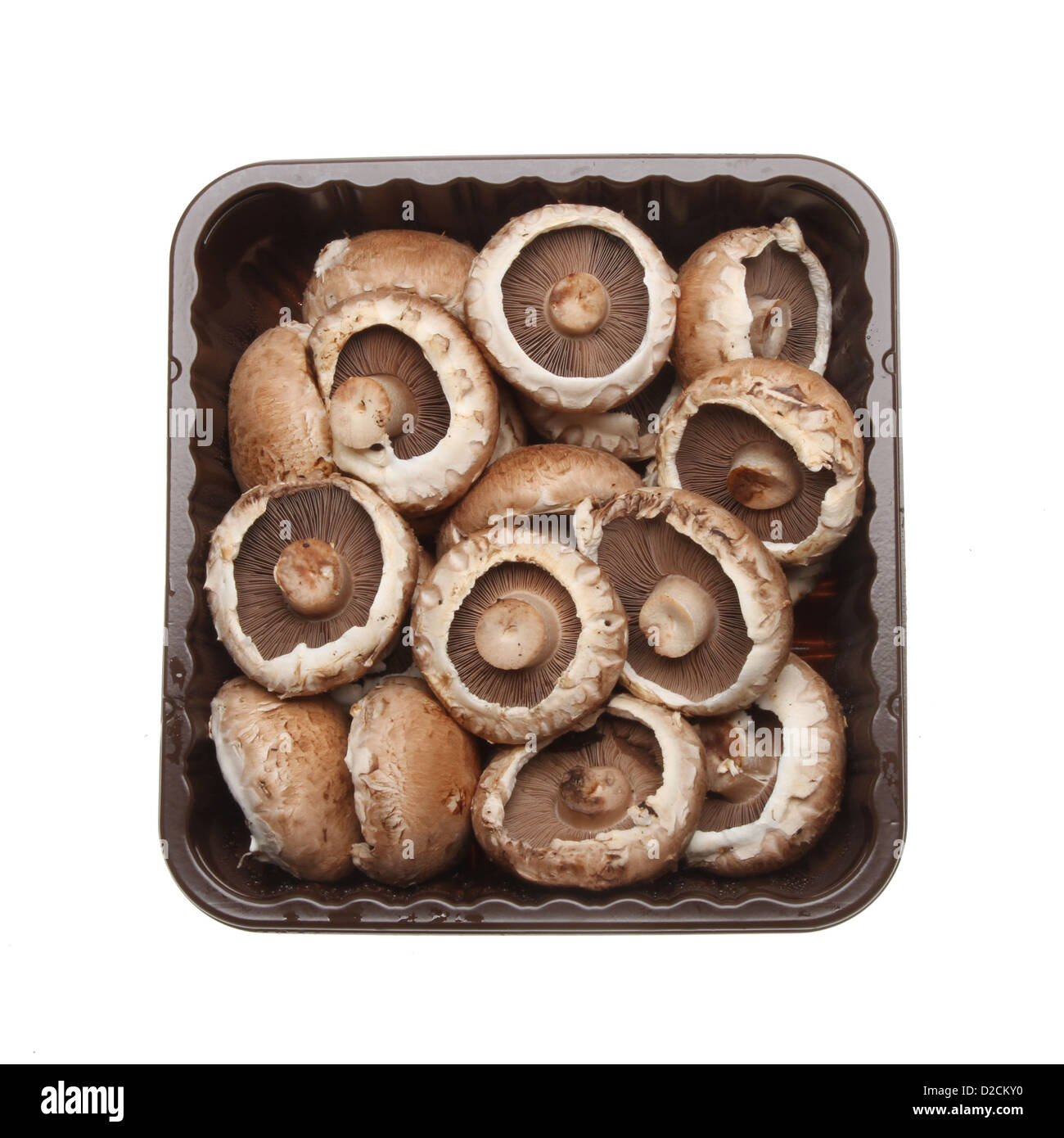 Portabella funghi in un vassoio di plastica isolati contro white Foto Stock