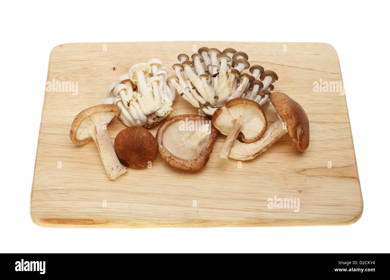 Commestibili funghi esotici su una tavola di legno isolata contro bianco Foto Stock