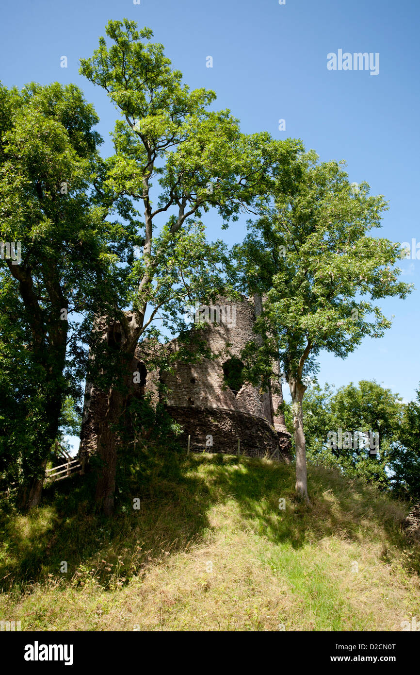 Il castello di Longtown, Herefordshire Foto Stock