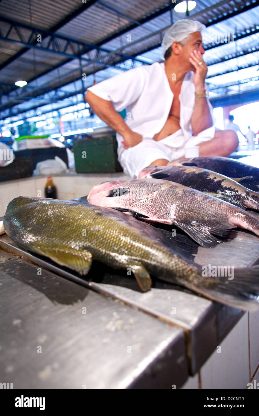 Un venditore si trova dietro una mostra di pesce amazzonico appena pescato al mercato municipale Adolpho Lisboa di Manaus, Brasile Foto Stock