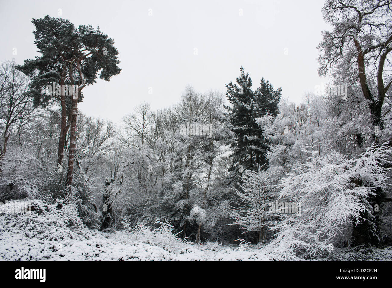 Neve in comune di Southampton Foto Stock