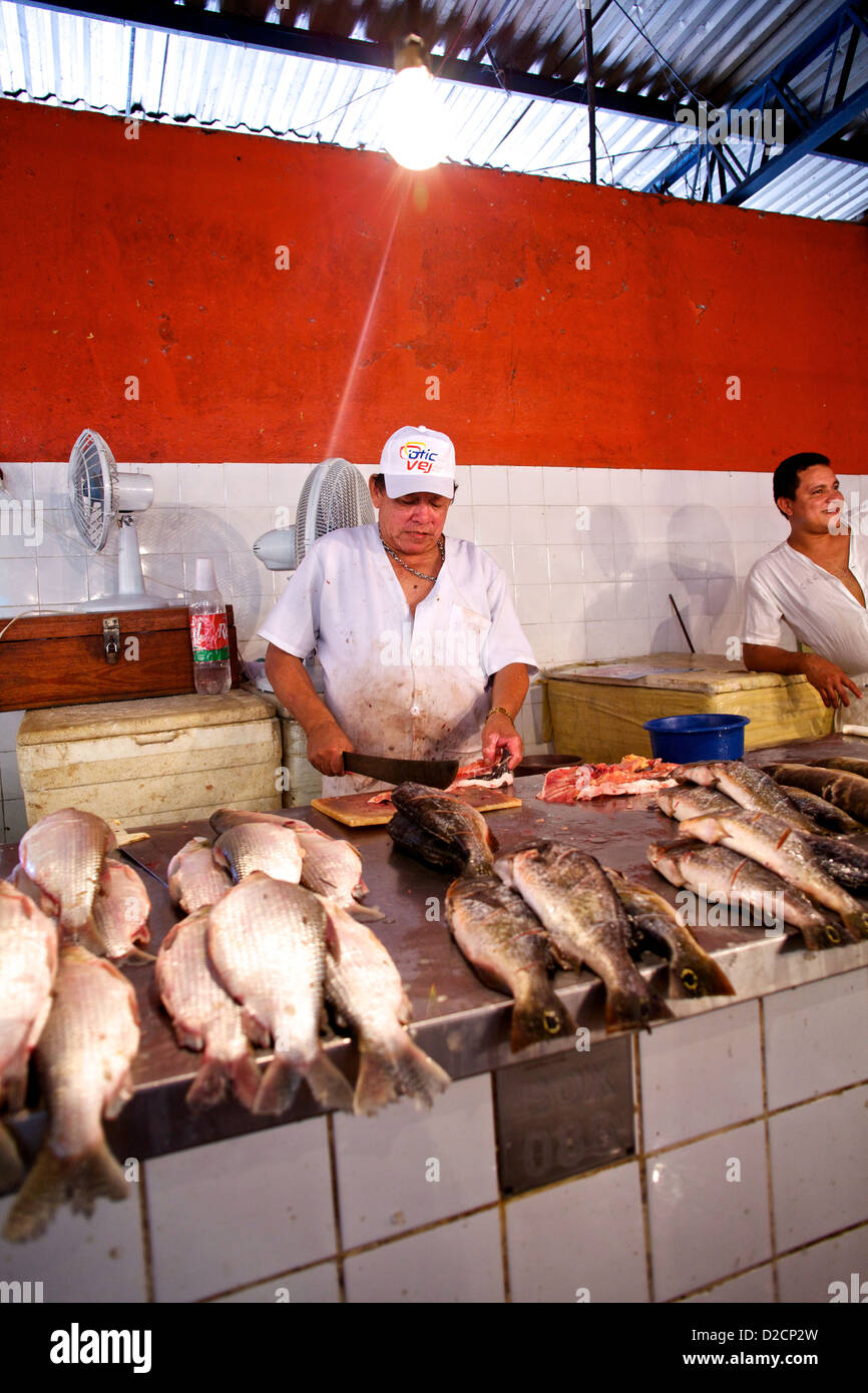 Un pescivendolo al mercato municipale Adolpho Lisboa di Manaus, Brasile, espone pesce amazzonico appena pescato mentre prepara i filetti per i clienti Foto Stock
