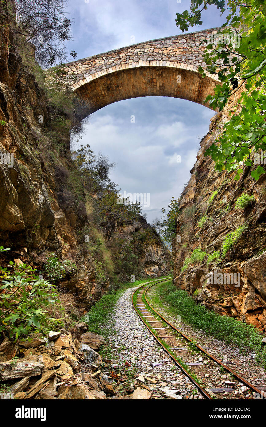 Parte della ferrovia Pelian, Ano Gatzea village, Pelion mountain, magnesia (Magnissias), Tessaglia, Grecia Foto Stock