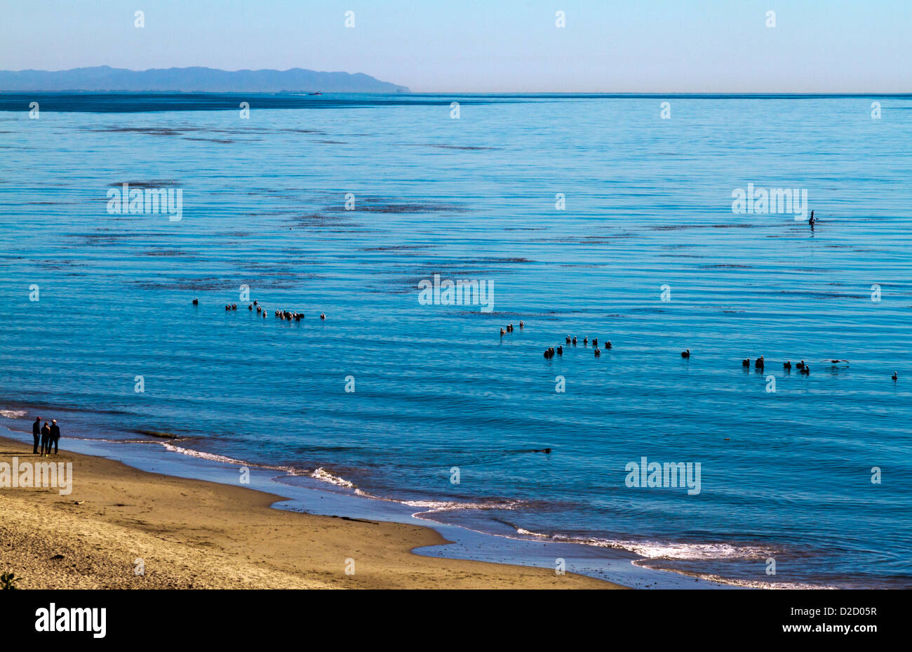 Gruppo godendo di una passeggiata sulla spiaggia di Summerland, California con i pellicani nell'oceano e le Isole del Canale a distanza Foto Stock
