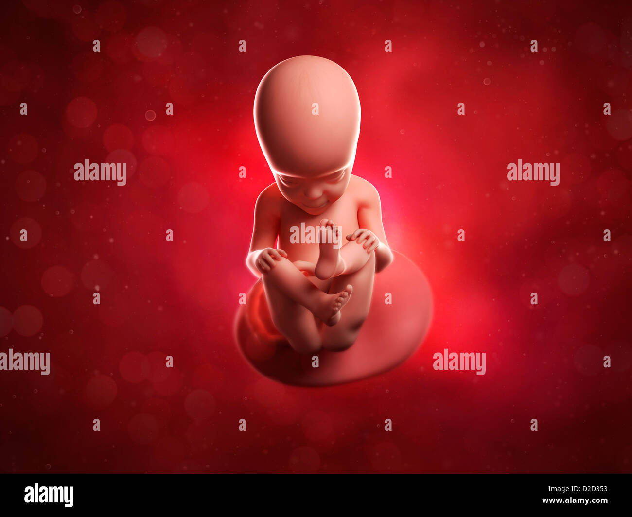 Feto a 27 settimane computer artwork Foto Stock