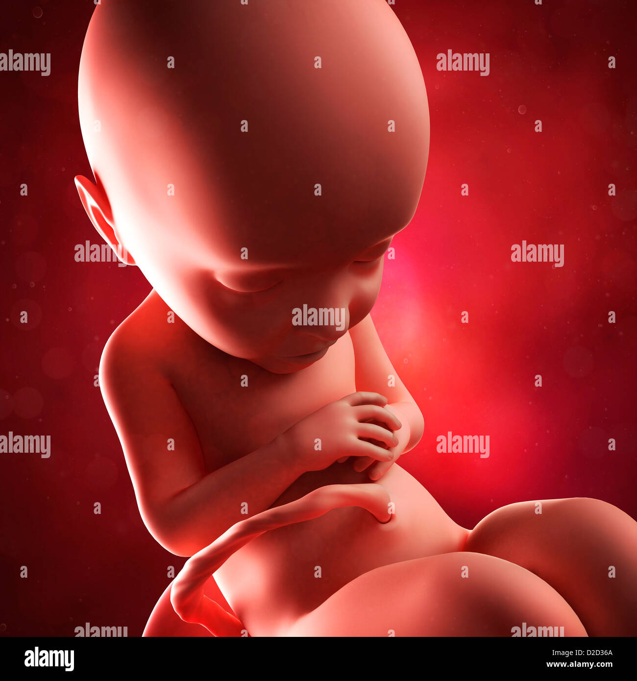 Feto a 32 settimane computer artwork Foto Stock