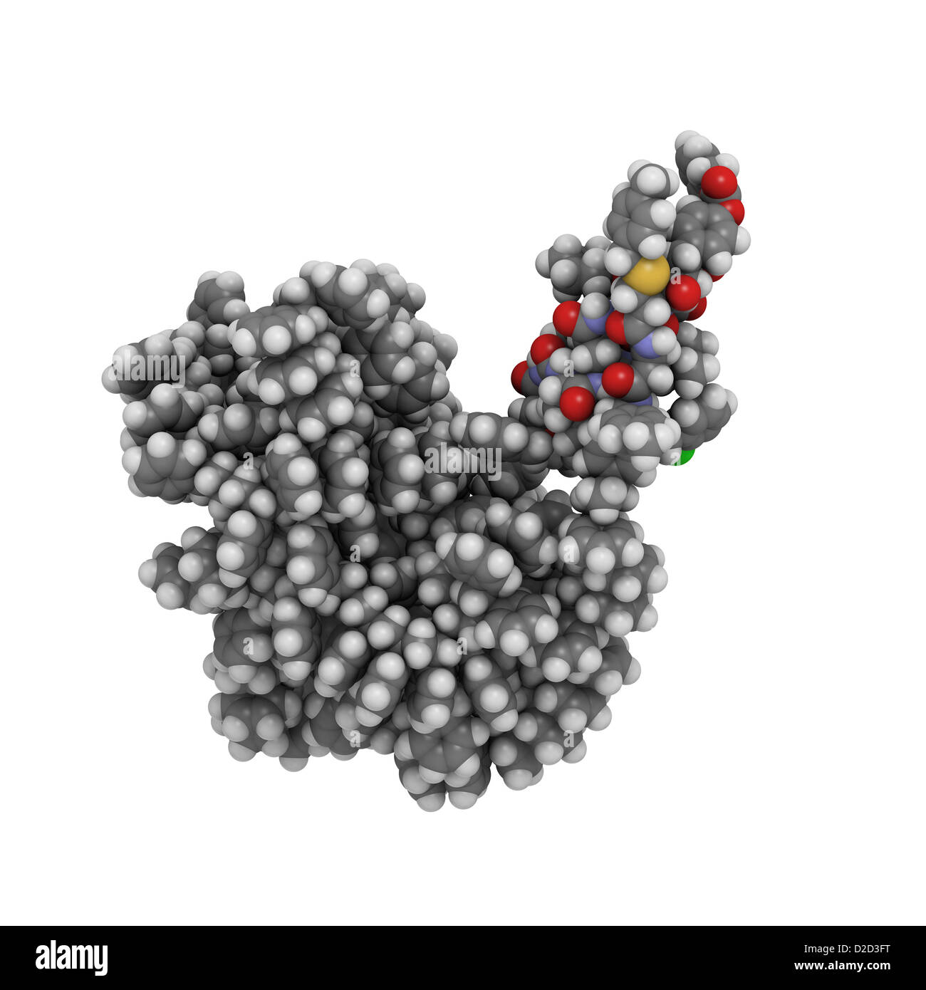 L'insulina una catena insulina umana sintetizzata su un polistirene  reticolato supporto solido la sintesi peptidica in fase solida SPPS Foto  stock - Alamy