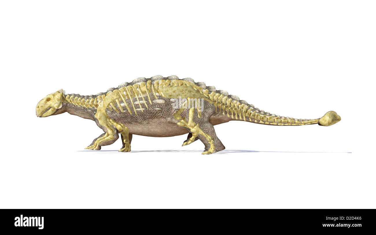 Calcolatore Ankylosaur artwork dinosauro scala predator corazza club giurassico di coda Foto Stock