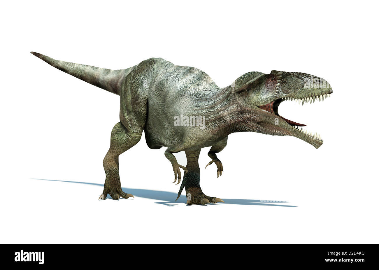 Dinosauro Giganotosaurus artwork Foto Stock
