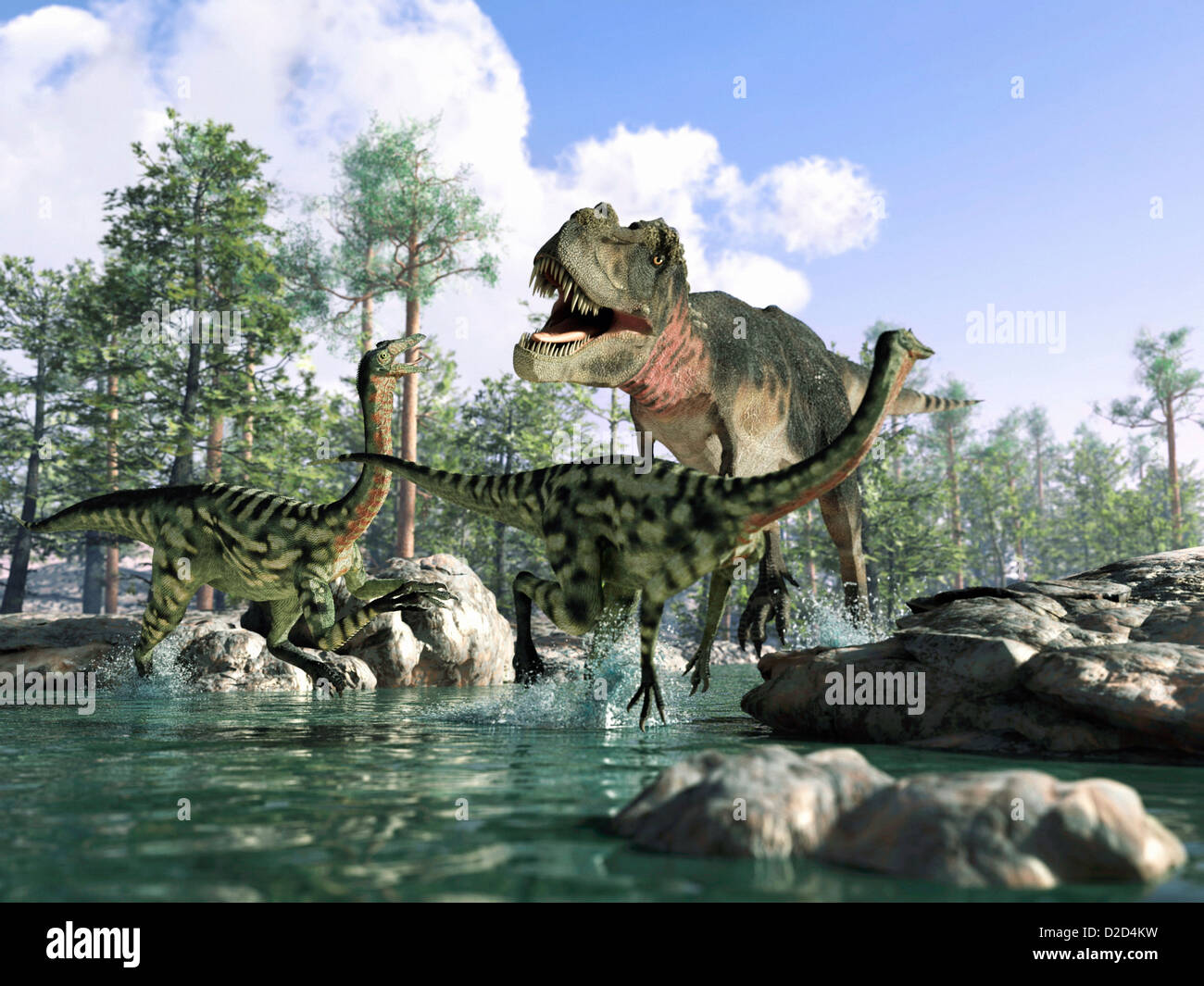 T rex Tyrannosaurus rex a caccia di dinosauri dinosauri Gallimimus Foto Stock