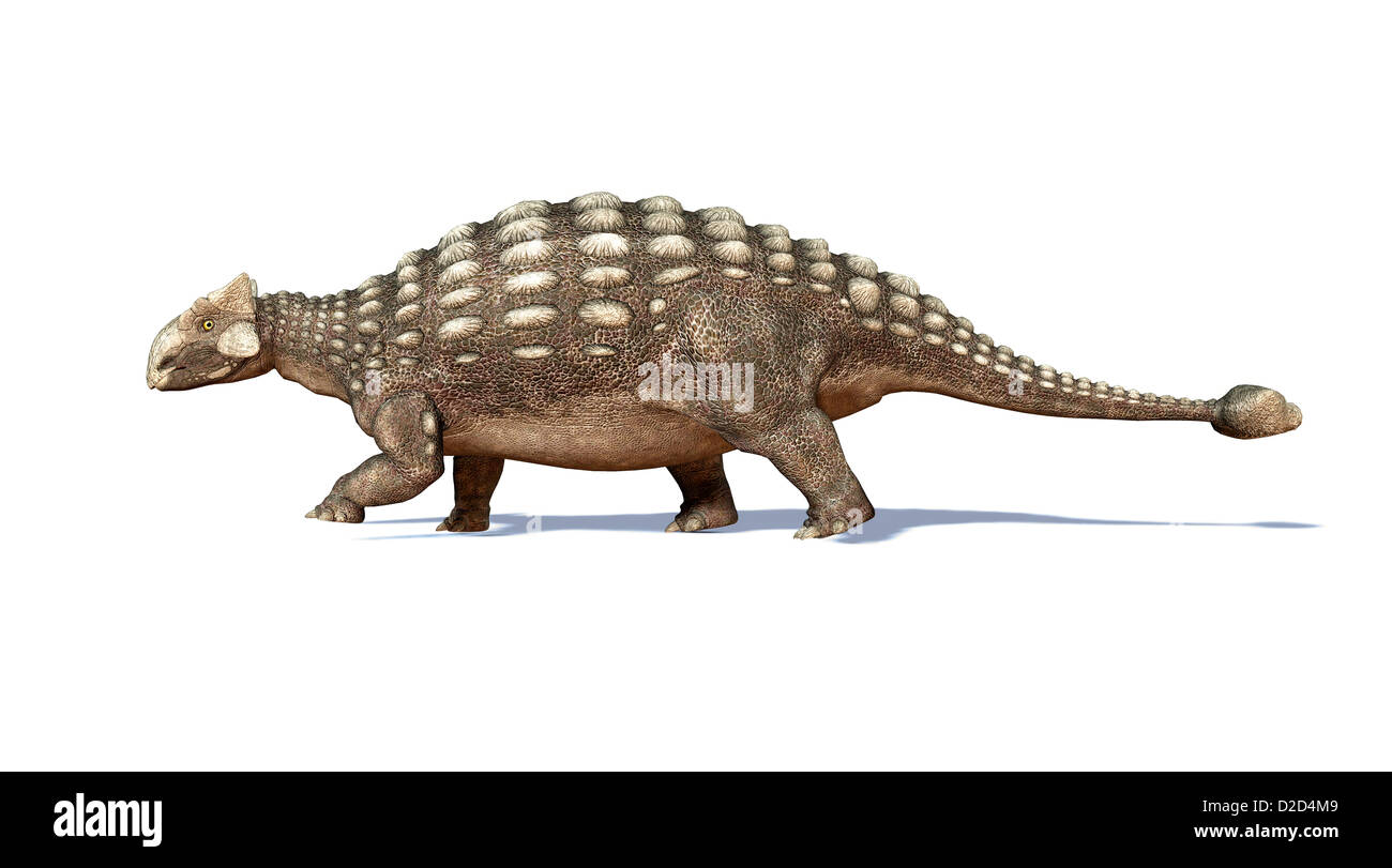 Calcolatore Ankylosaur artwork dinosauro scala predator corazza club giurassico di coda Foto Stock
