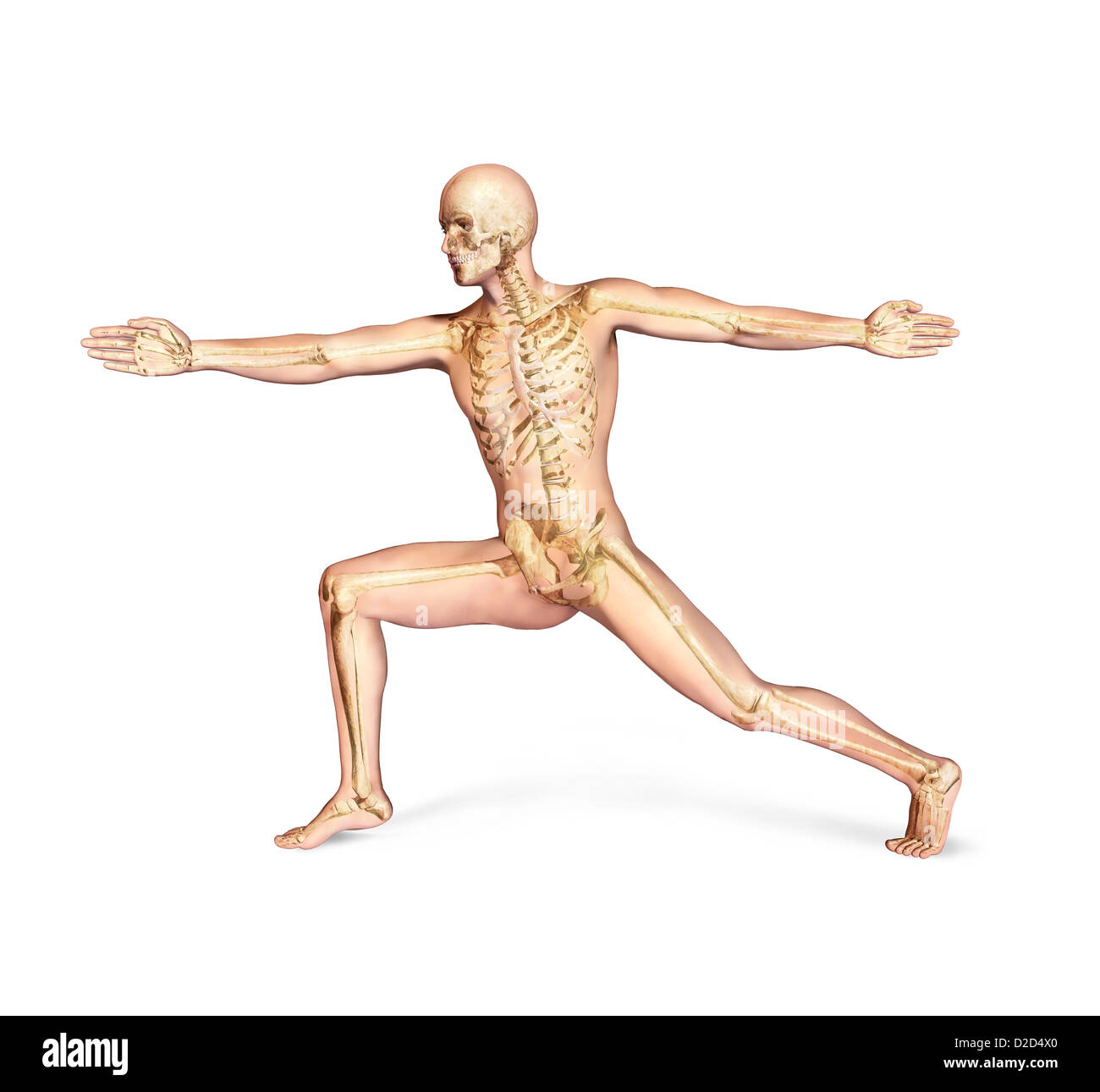 Scheletro maschio computer artwork Foto Stock