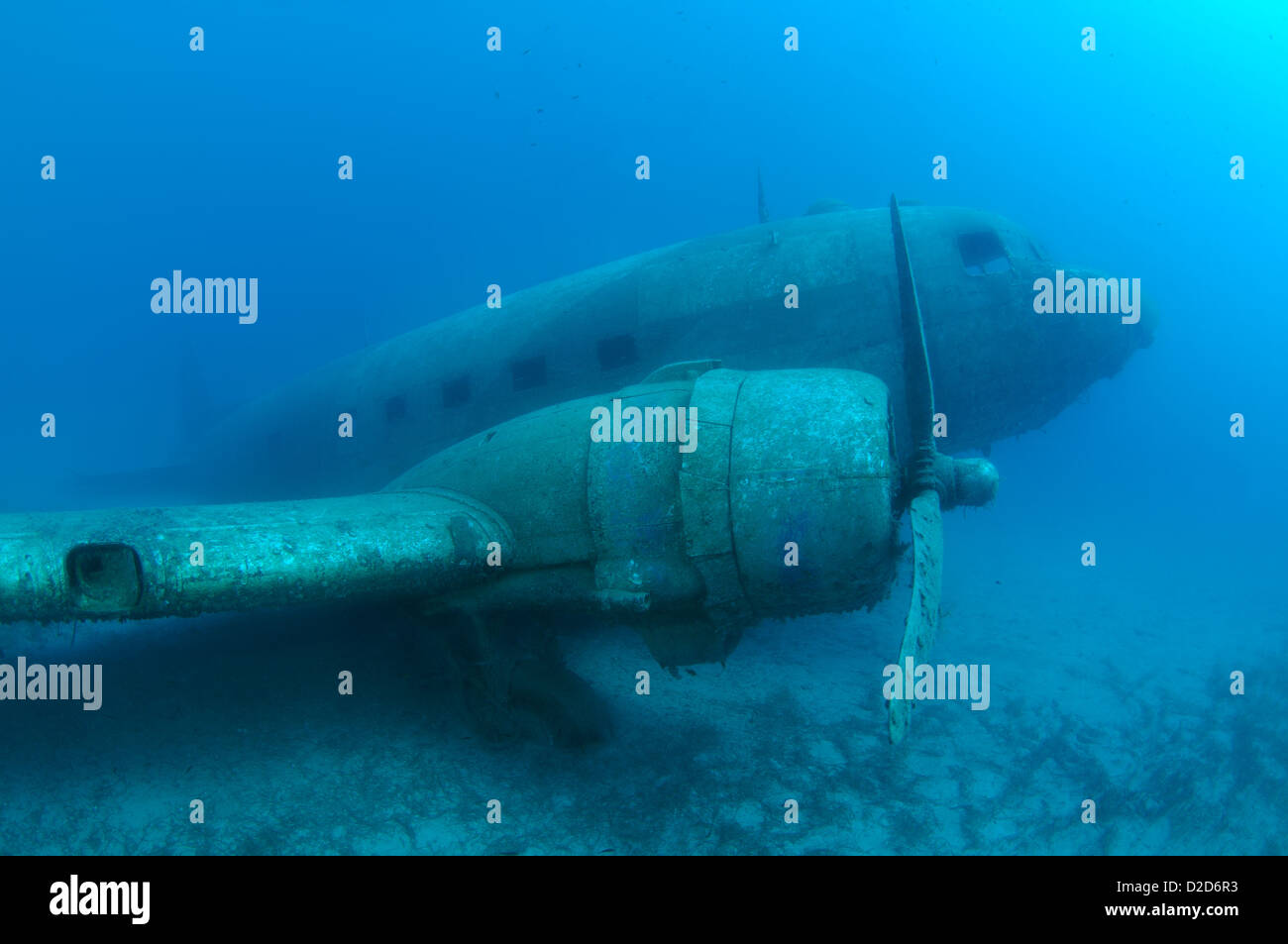 Relitto aereo Douglas DC-3 'Dakota', mare Mediterraneo, Turchia, Kash Foto Stock