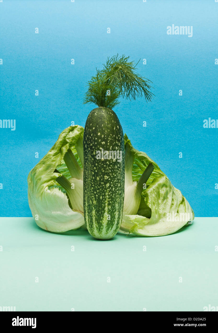 Un cetriolo, lattuga e finocchi disposte in una forma astratta Foto Stock