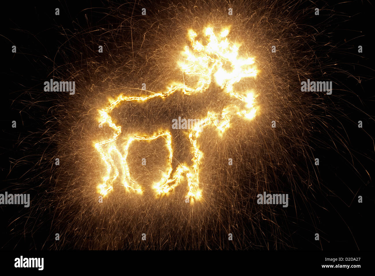 Una renna disegnati su uno sfondo nero con un sparkler Foto Stock