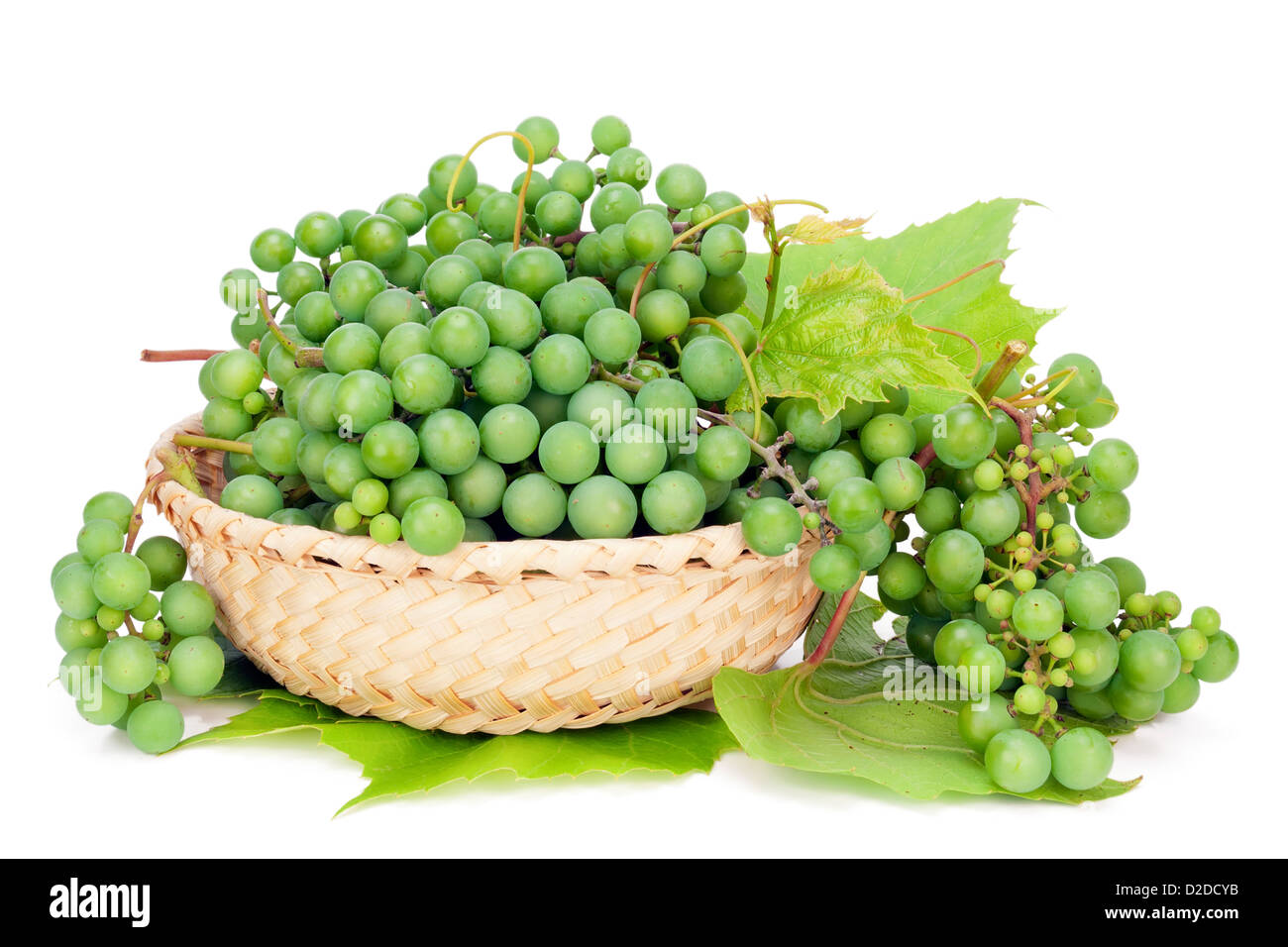 Verde uva acerba per vino secco giacciono in un cestello di macro. Isolato su bianco Foto Stock