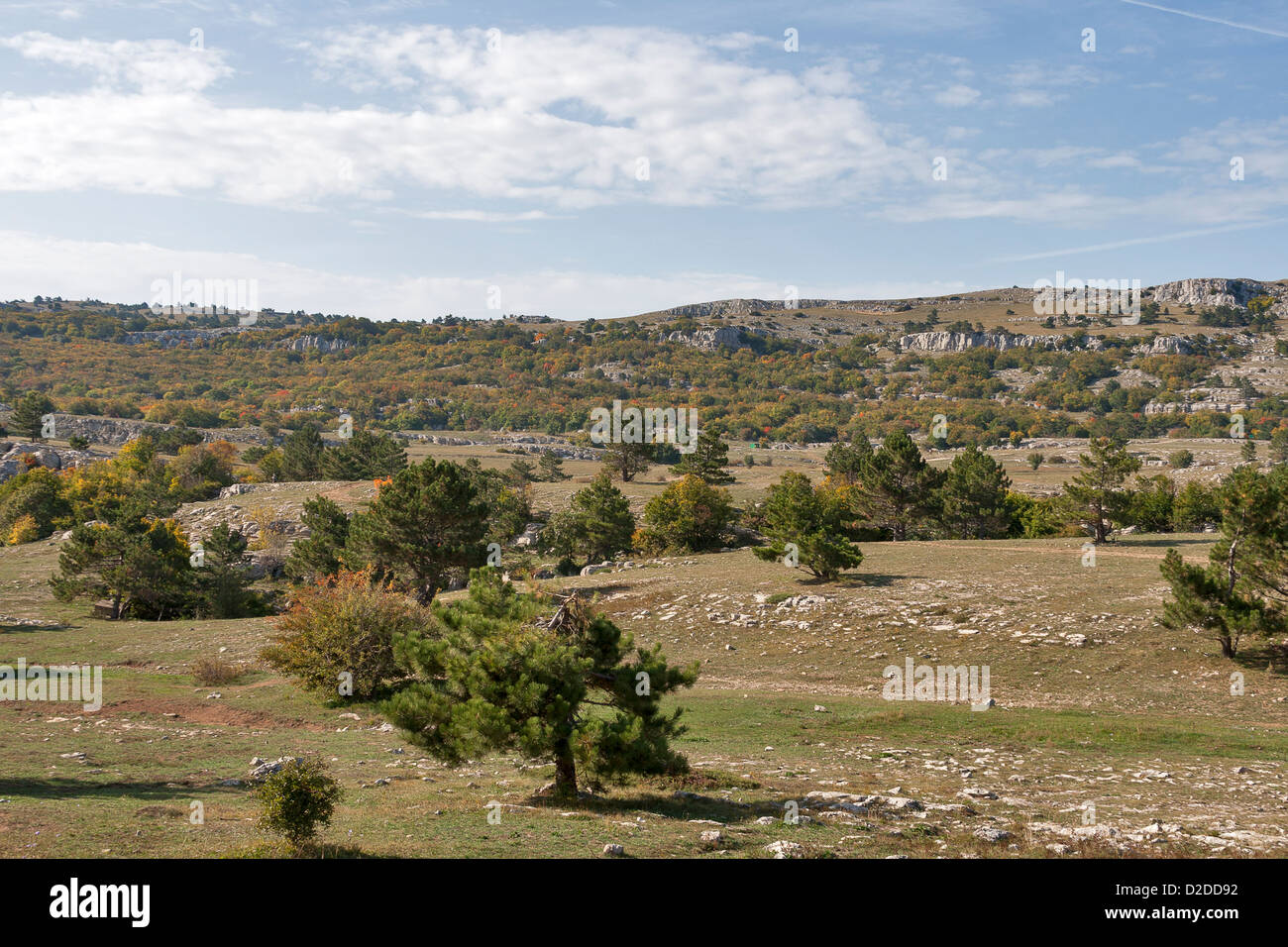 Paesaggio della Crimea sull'altopiano di montagna Ai-Petri Foto Stock