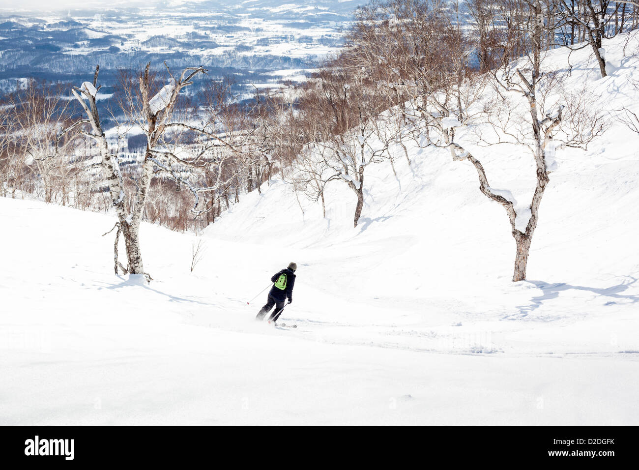 La donna lo sci fuori pista attraverso gli alberi di betulla a Niseko, Giappone. Foto Stock