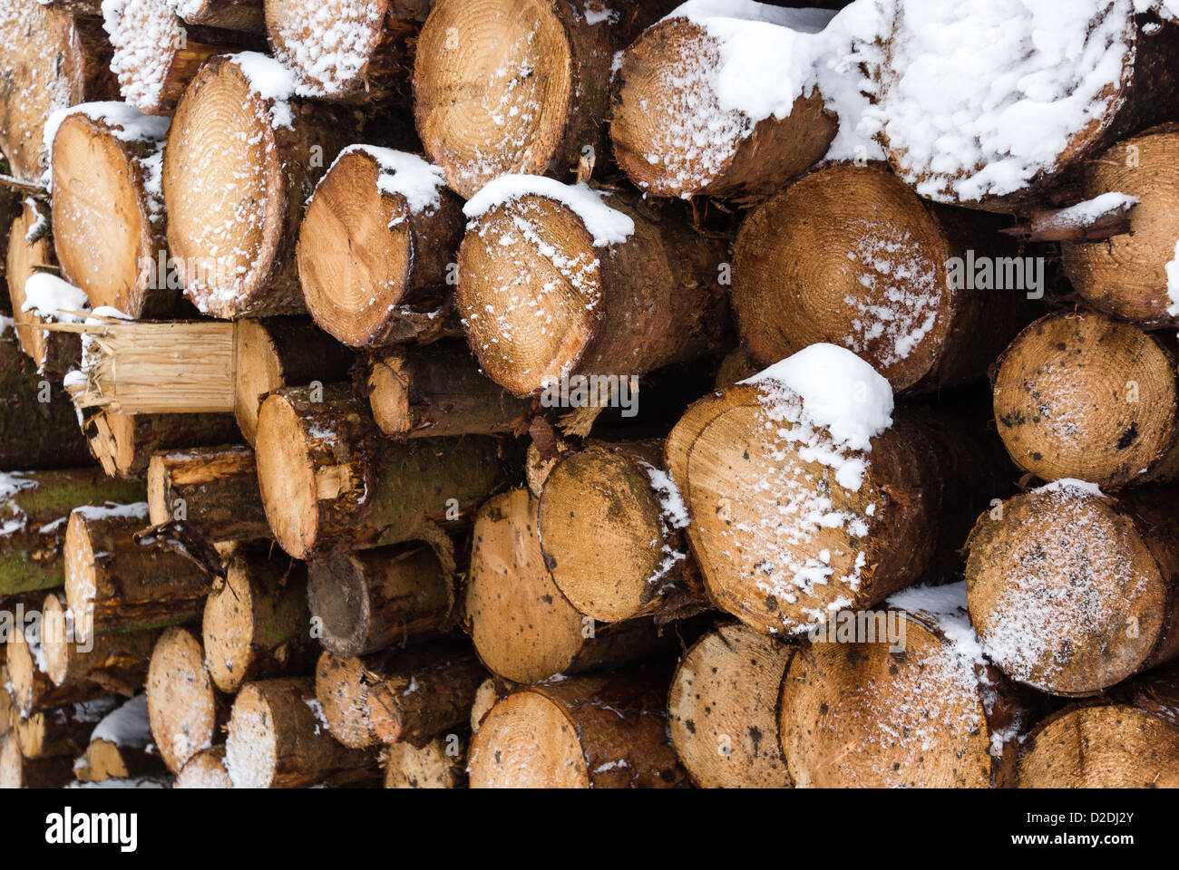 Un gran mucchio di coperta di neve registra Foto Stock