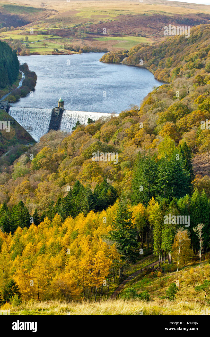 PEN-Y-GARREG diga con acqua bianco [versando sopra la diga di parete e circondato da autunno i larici IN POWYS GALLES Foto Stock