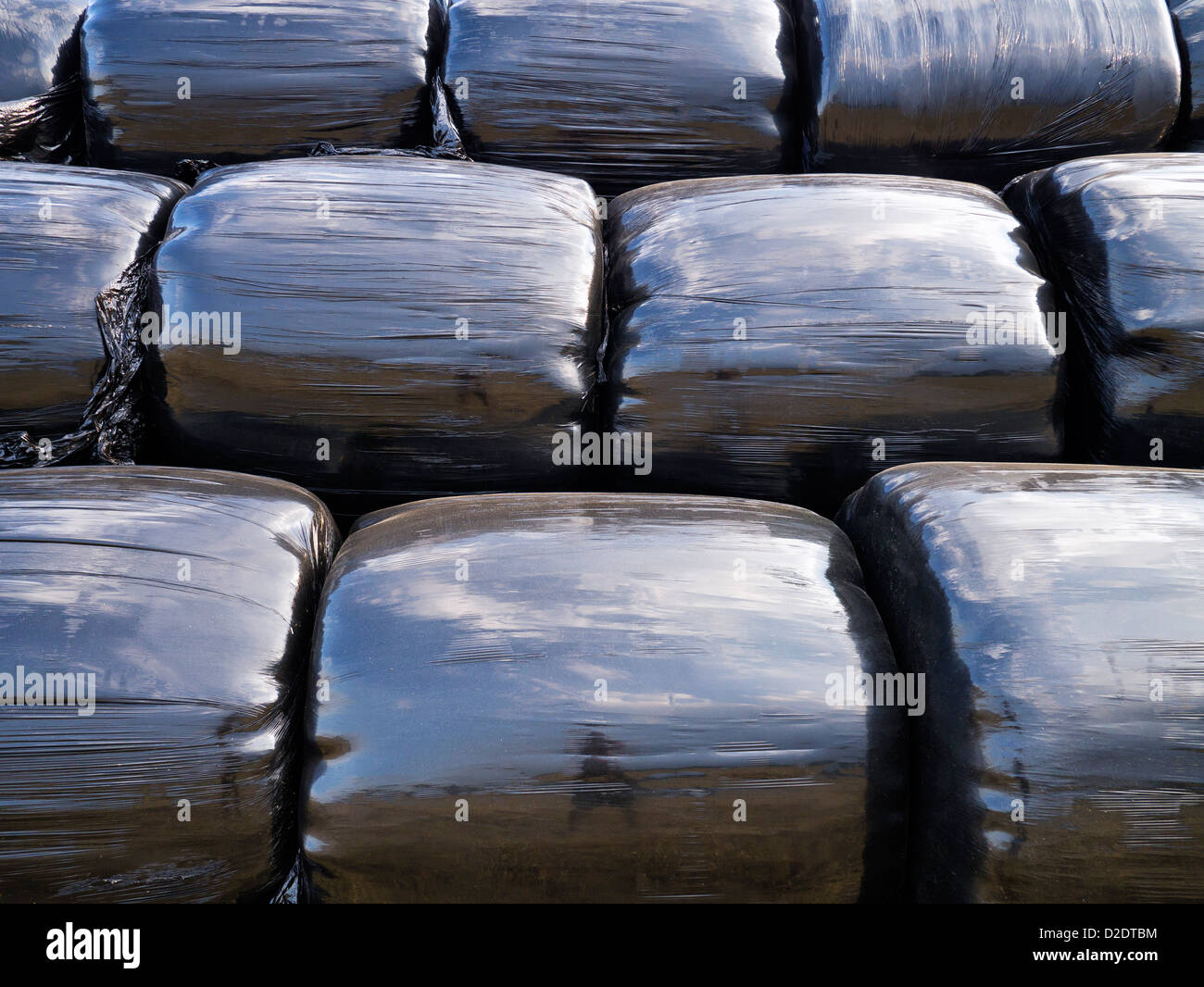 Balle di Paglia avvolta in nero dei sacchetti di plastica Foto Stock