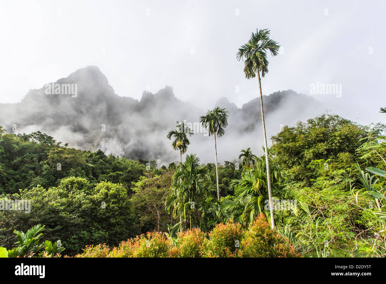 Elephant Hills, Khao Sok Il Parco Nazionale della foresta pluviale, camp, Thailandia - Le nuvole luogo nelle prime ore del mattino contro montagne boscose Foto Stock