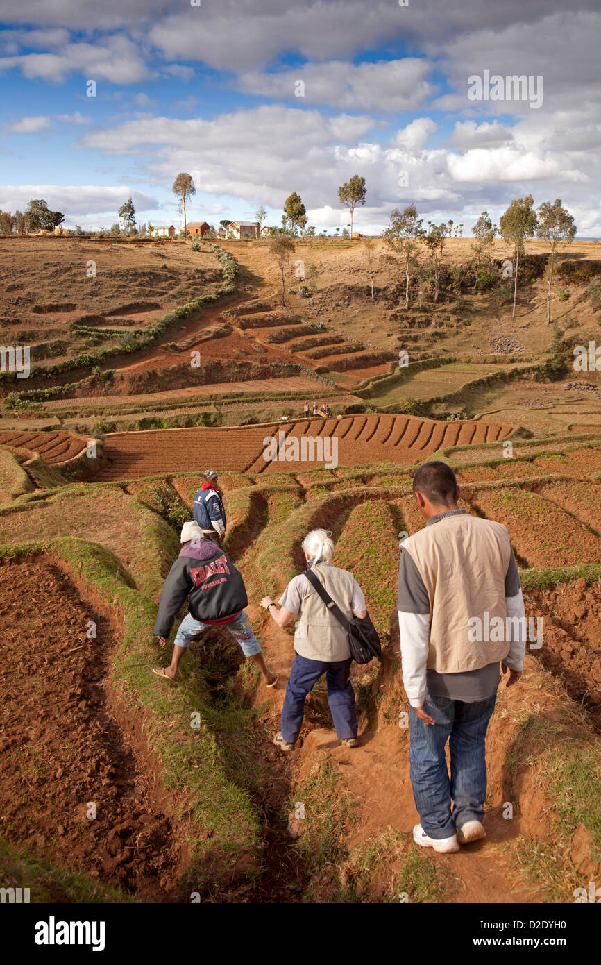 Madagascar, Antsirabe, turistico guidato da guide locali attraversando campi per raggiungere il villaggio remoto Foto Stock