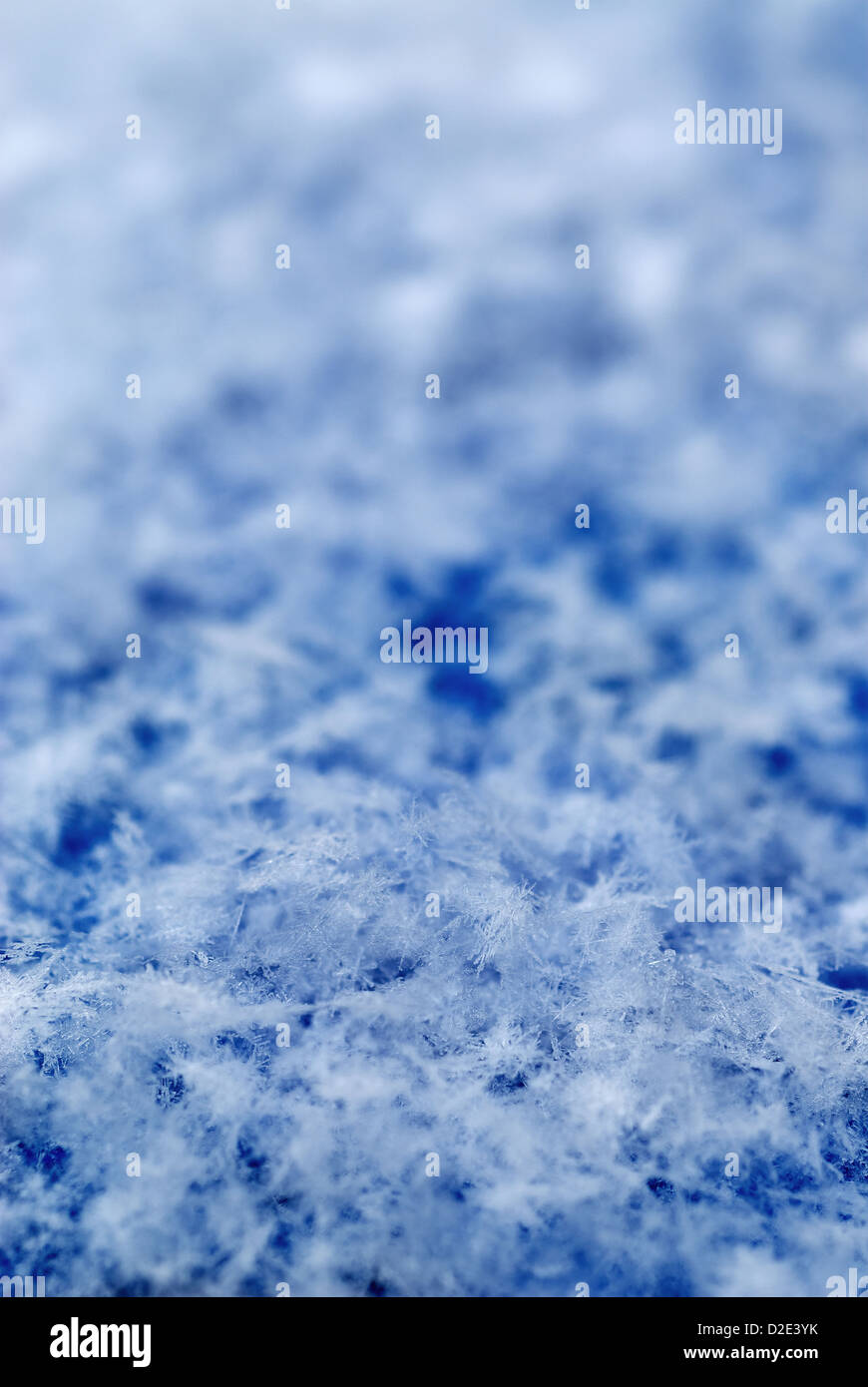 Berlino - i cristalli di ghiaccio di fresco di neve caduti Foto Stock