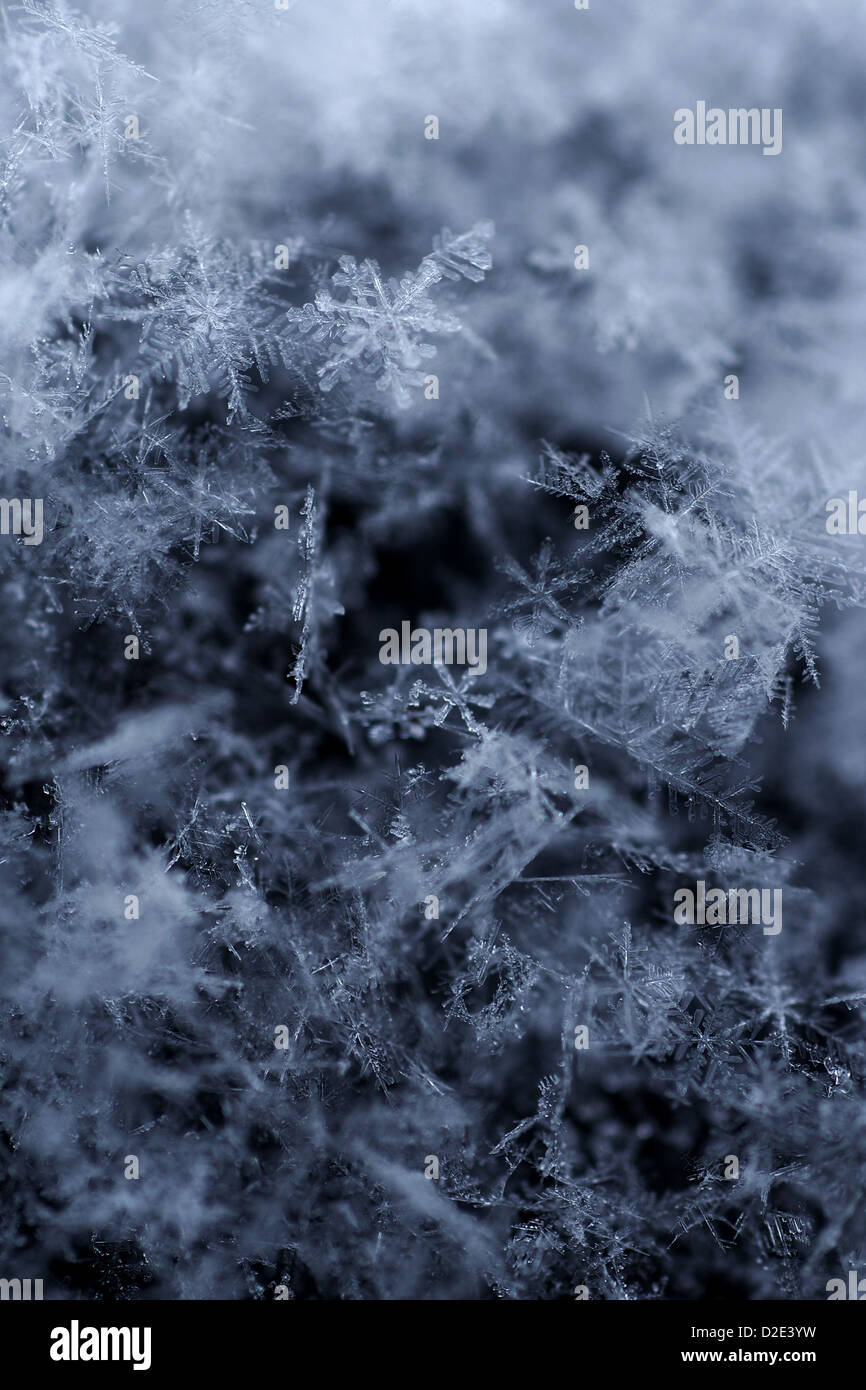 Berlino - i cristalli di ghiaccio di fresco di neve caduti Foto Stock