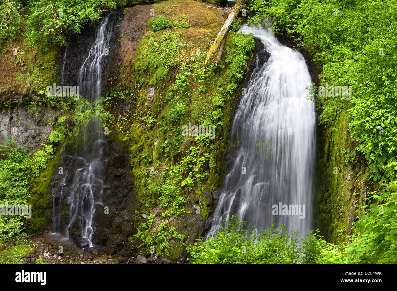 Superiore di McCloud Creek Falls in Columbia River Gorge National Scenic Area, Oregon. Foto Stock