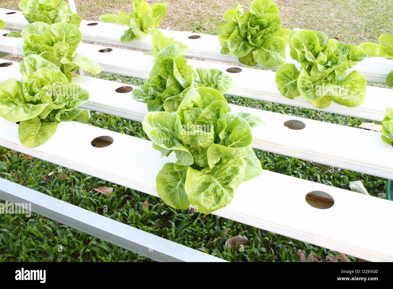 Molti tipi di soilless o sistema hydroponic Foto Stock