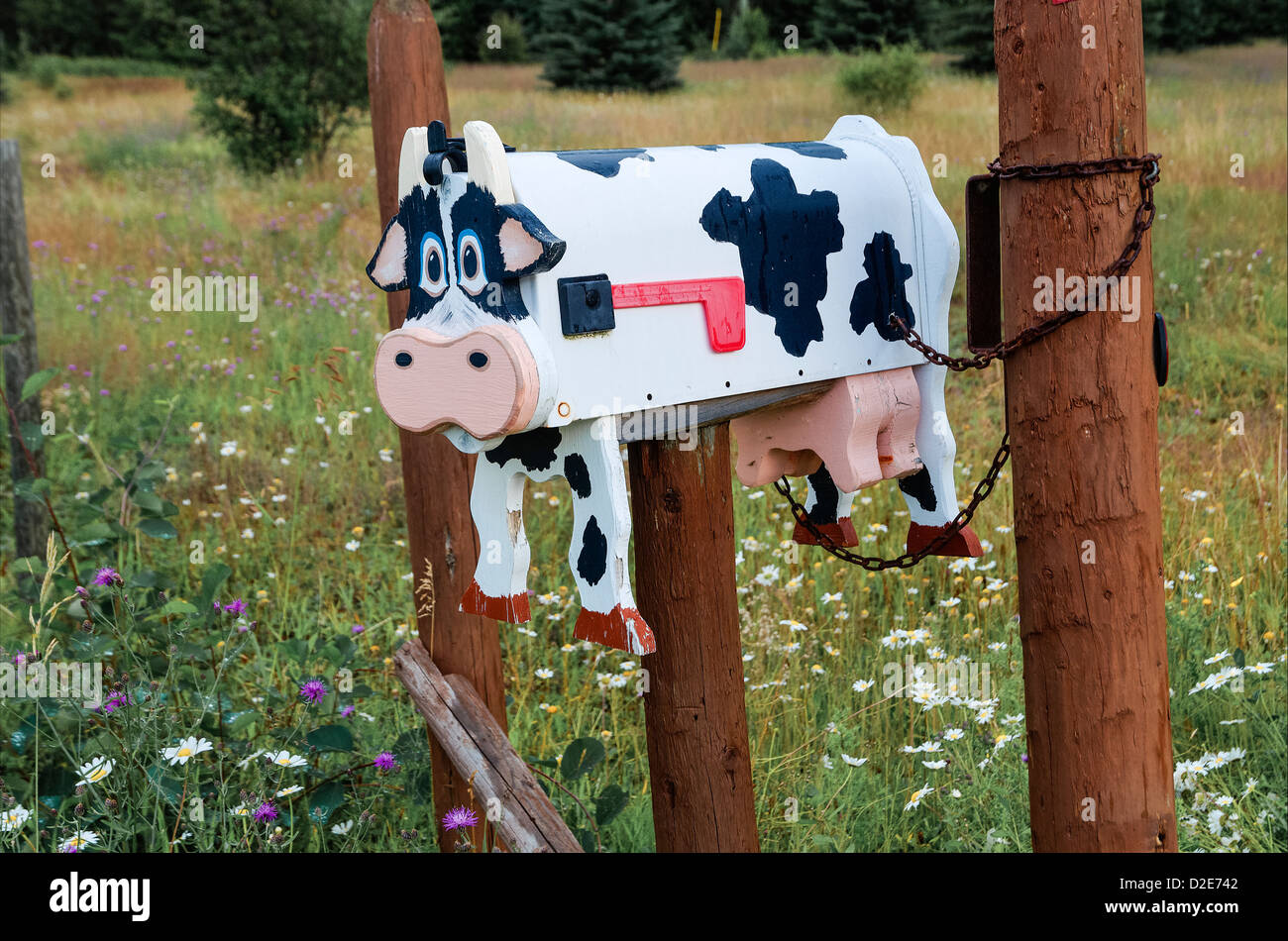 Cassetta postale di mucca vicino a Clearwater, British Columbia, Canada Foto Stock