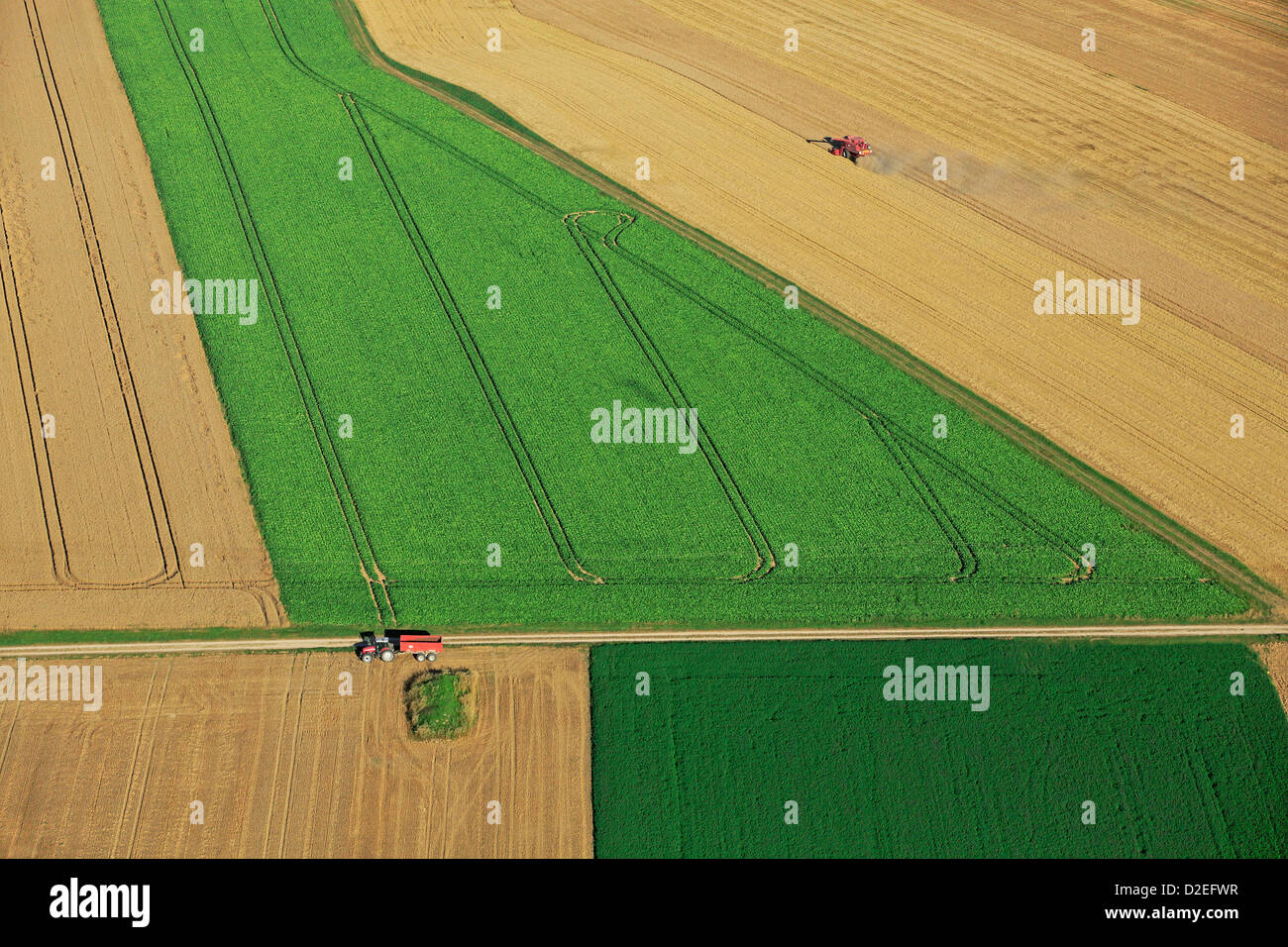 Francia, Marne (51), l'antenna del paesaggio oltre i campi di grano raccolti di macchine agricole per lavorare con la grafica del campo verde Foto Stock