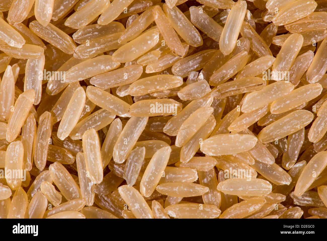 Close up di riso a grani lunghi Foto Stock