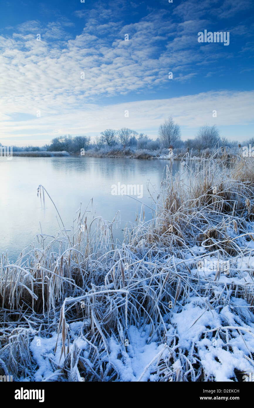 Barton-su-Humber, North Lincolnshire, Regno Unito. Il 17 gennaio 2013. Mattinata a bordo dell'acqua Country Park in inverno Foto Stock