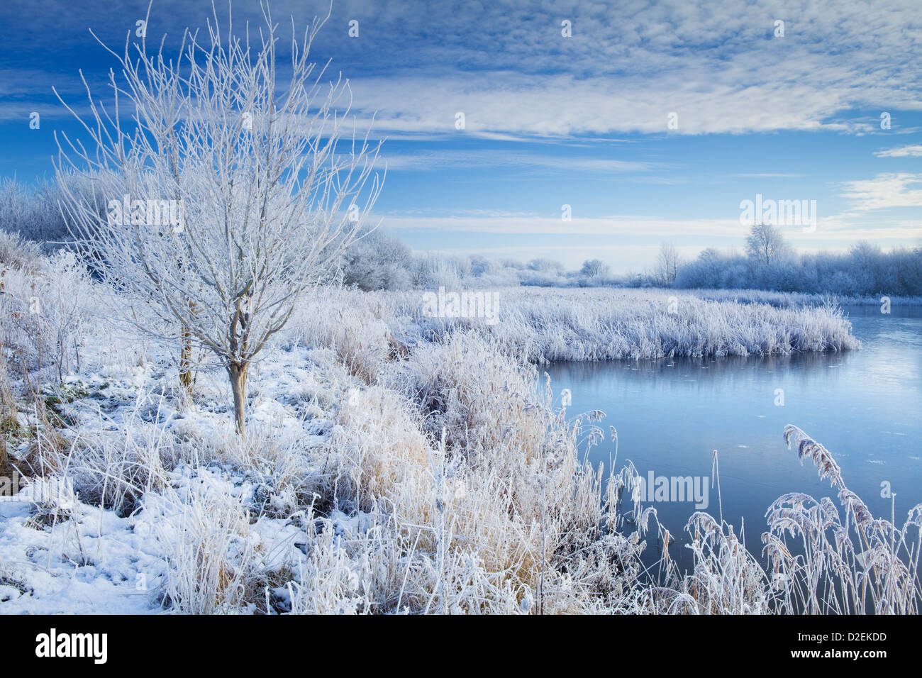 Barton-su-Humber, North Lincolnshire, Regno Unito. Il 17 gennaio 2013. Mattinata a bordo delle acque Country Park in inverno Foto Stock