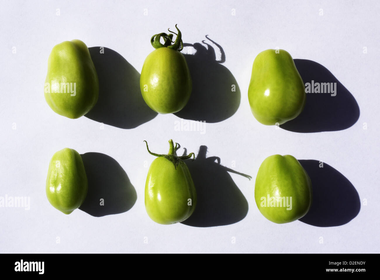 Sei distanziati di pomodori in attesa di un cappotto di maturazione rosso Foto Stock