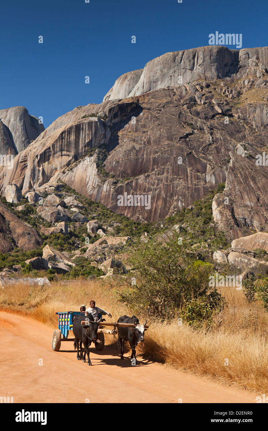 Madagascar, Ambalavao, riserva d'Anja, carrello di giovenco sulla via con montagne rocciose dietro Foto Stock