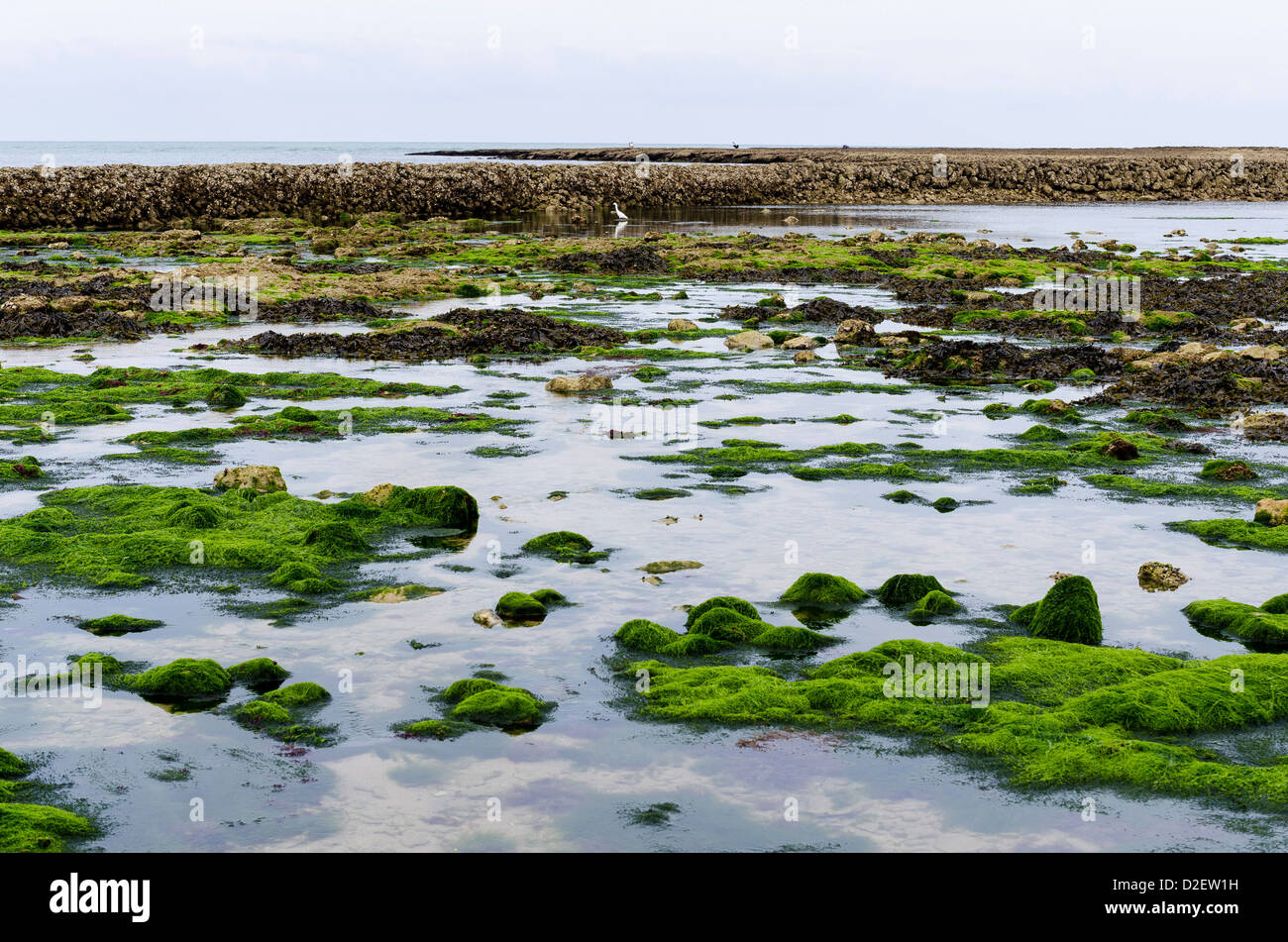 "Écluse à poissons' a bassa marea a Oléron Island, Francia. Foto Stock