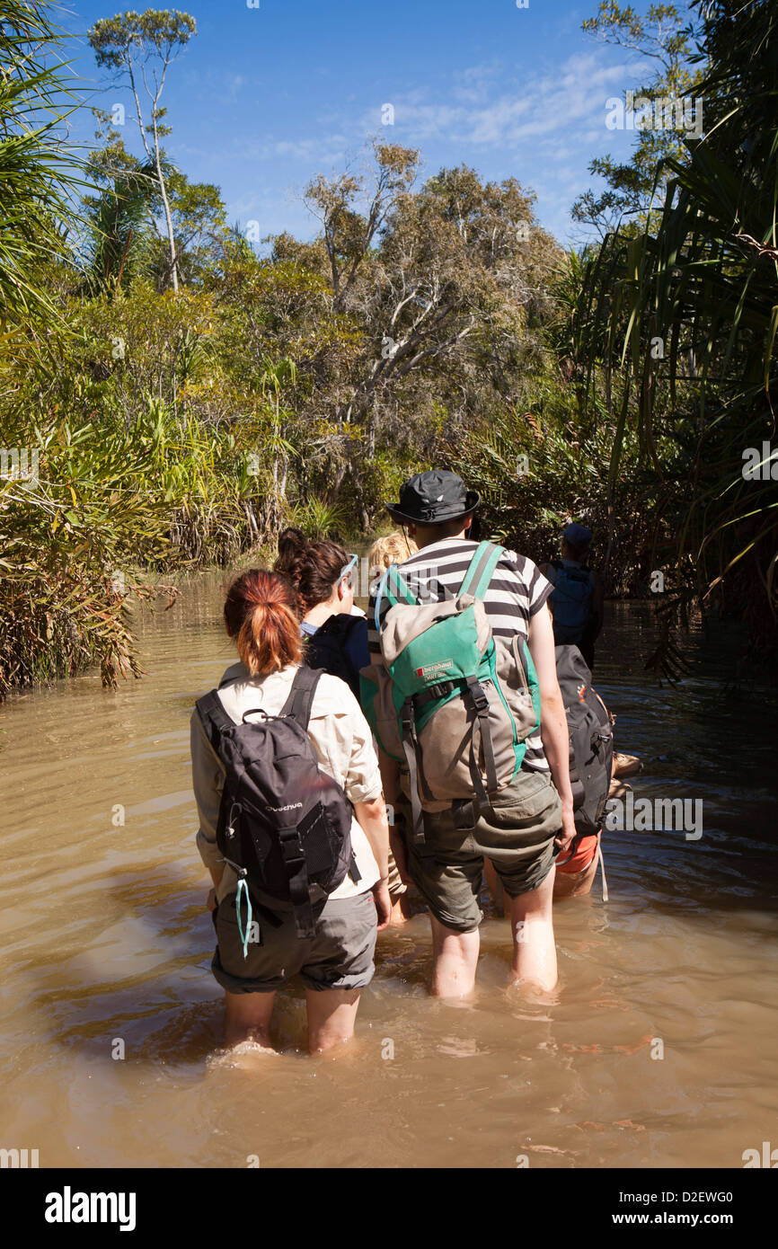 Madagascar, Funzionamento Wallacea, studenti inoltrarmi nel flusso per Matsedroy camp Foto Stock