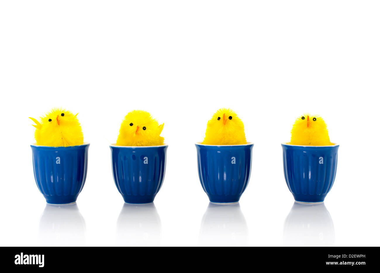 Pasqua giallo anatre in blu uovo tazze Foto Stock