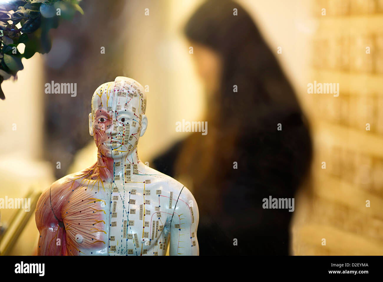 Un rimedio a base di erbe shop in China Town, Londra. Foto Stock