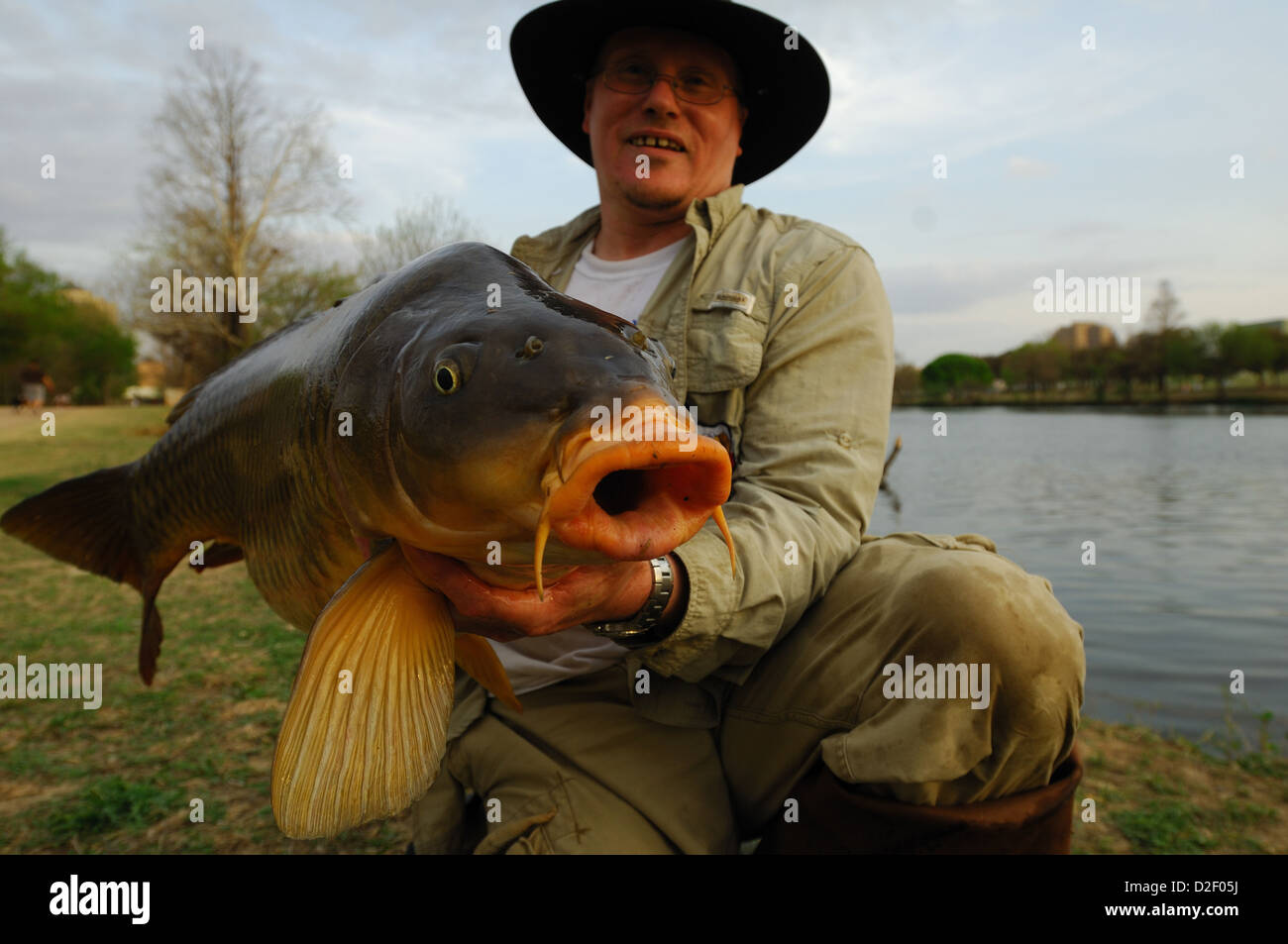 Uomo con grande una carpa comune (Cyprinus carpio) al Lago Lady Bird, Austin in Texas Foto Stock