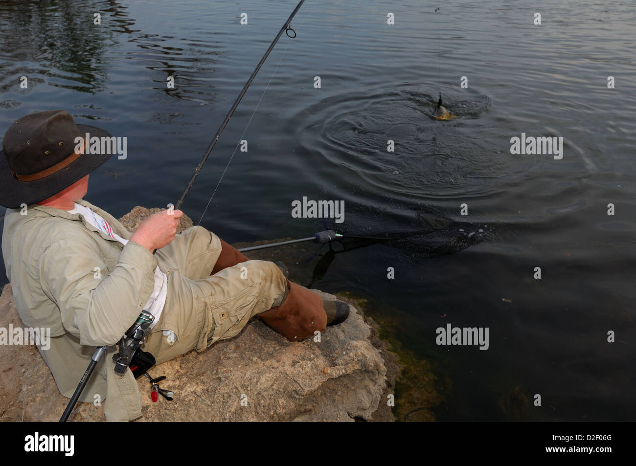 L'uomo la cattura di una carpa comune (Cyprinus carpio) al Lago Lady Bird, Austin in Texas Foto Stock